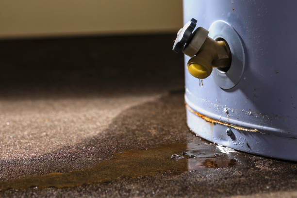 Best Ceiling water damage repair  in Guttenberg, IA
