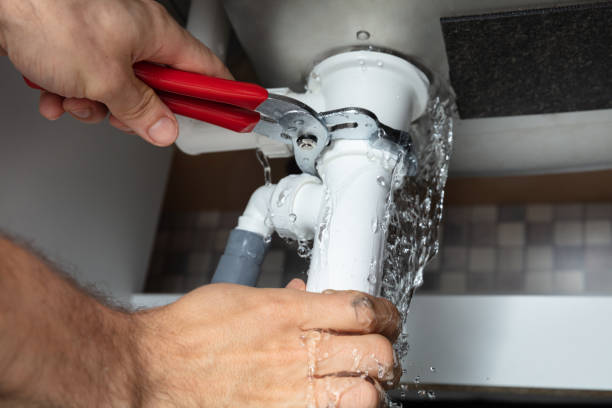 Best Professional water damage repair  in Guttenberg, IA