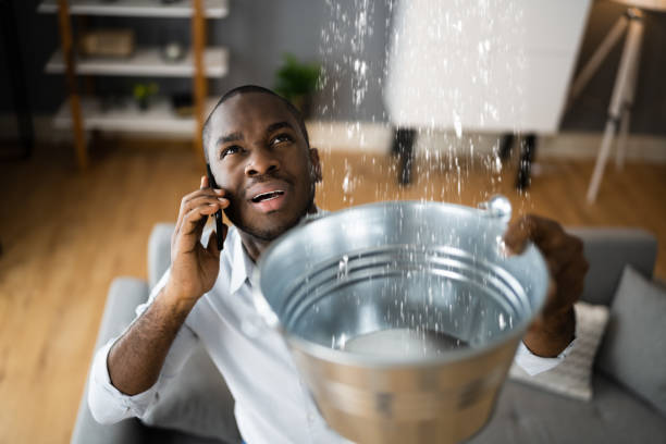 Best Commercial water damage restoration  in Guttenberg, IA