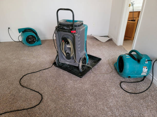 Best Water damage contractors near me  in Guttenberg, IA