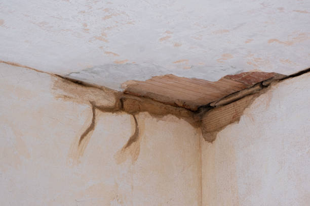 Best Local water damage restoration  in Guttenberg, IA