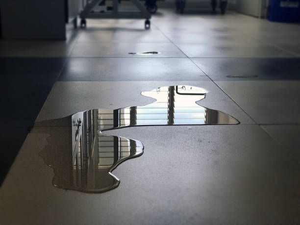 Best Local water damage restoration  in Guttenberg, IA
