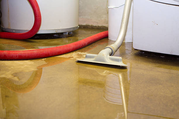 Best Professional water damage repair  in Guttenberg, IA