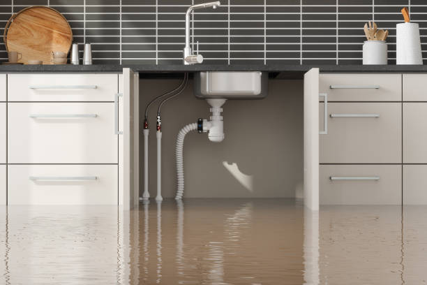 Best Water damage cleanup near me  in Guttenberg, IA