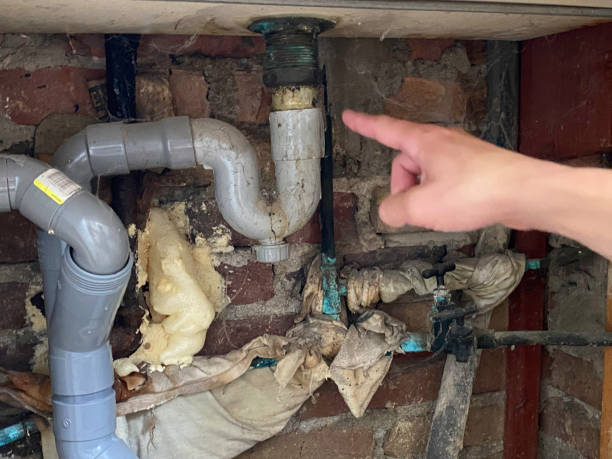 Best Water damage mitigation services  in Guttenberg, IA
