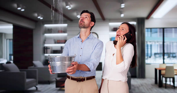 Best Flood damage cleanup  in Guttenberg, IA
