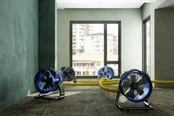 Best Commercial water damage restoration  in Guttenberg, IA