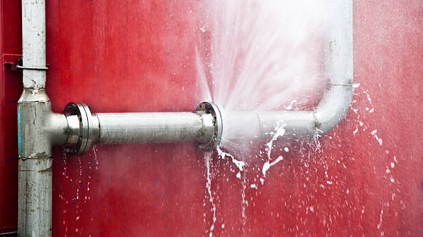 Best Flood damage cleanup  in Guttenberg, IA